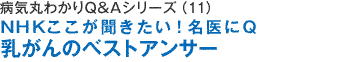 病気を治すＱ＆Ａシリーズ（9）ＮＨＫここが聞きたい！腎臓病のベストアンサー