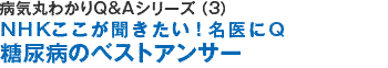 病気を治すＱ＆Ａシリーズ（3）ＮＨＫここが聞きたい！名医にＱ糖尿病を治すベストアンサー